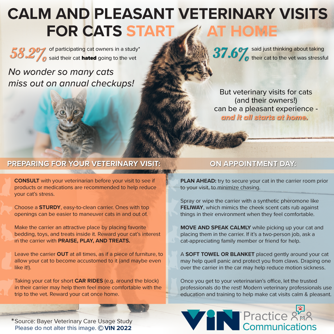 Detailed infographic with tips on getting your cat to the vet calmly.