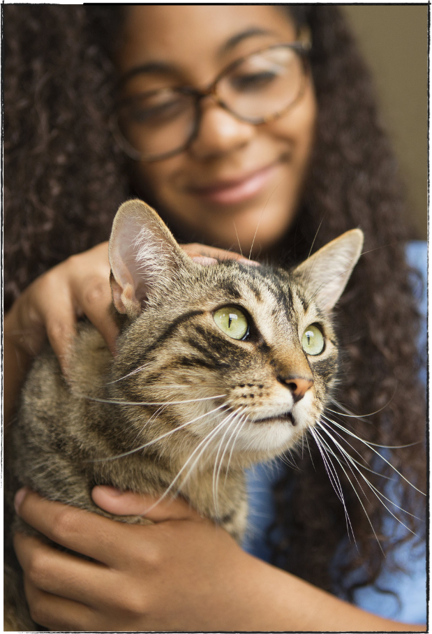 Sweet brown tabby cat being petted by teenage girl.