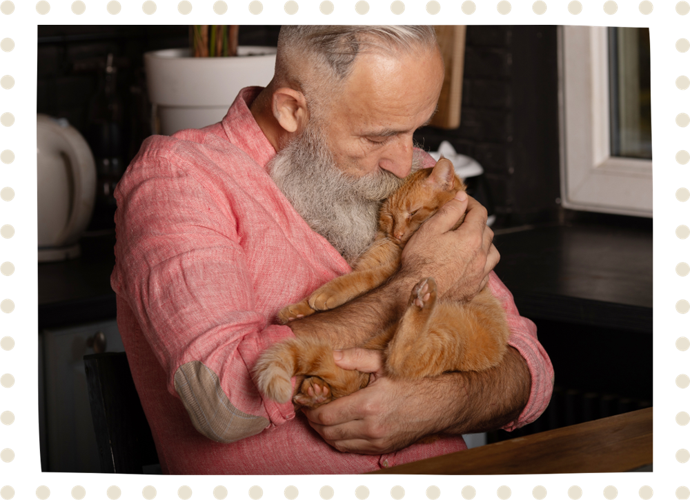 Adorable orange tabby cat being cradled by senior gentleman.